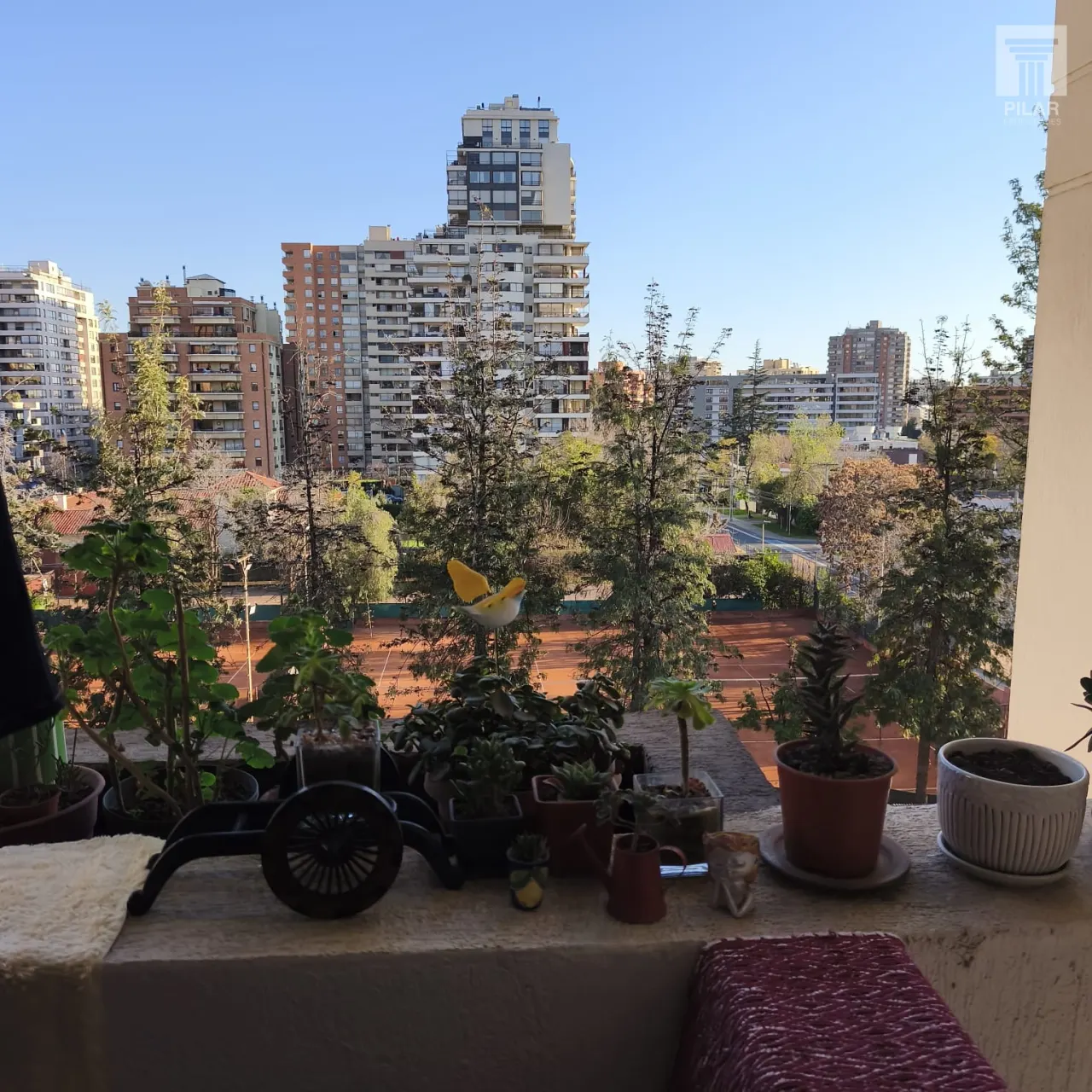 Foto 5