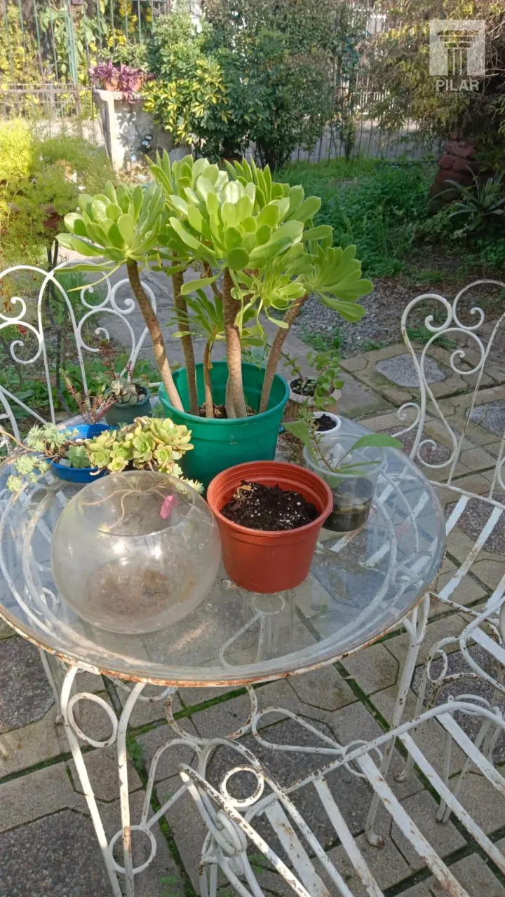 Foto 14