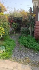 Foto 27